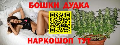 прущие крисы Нарткала